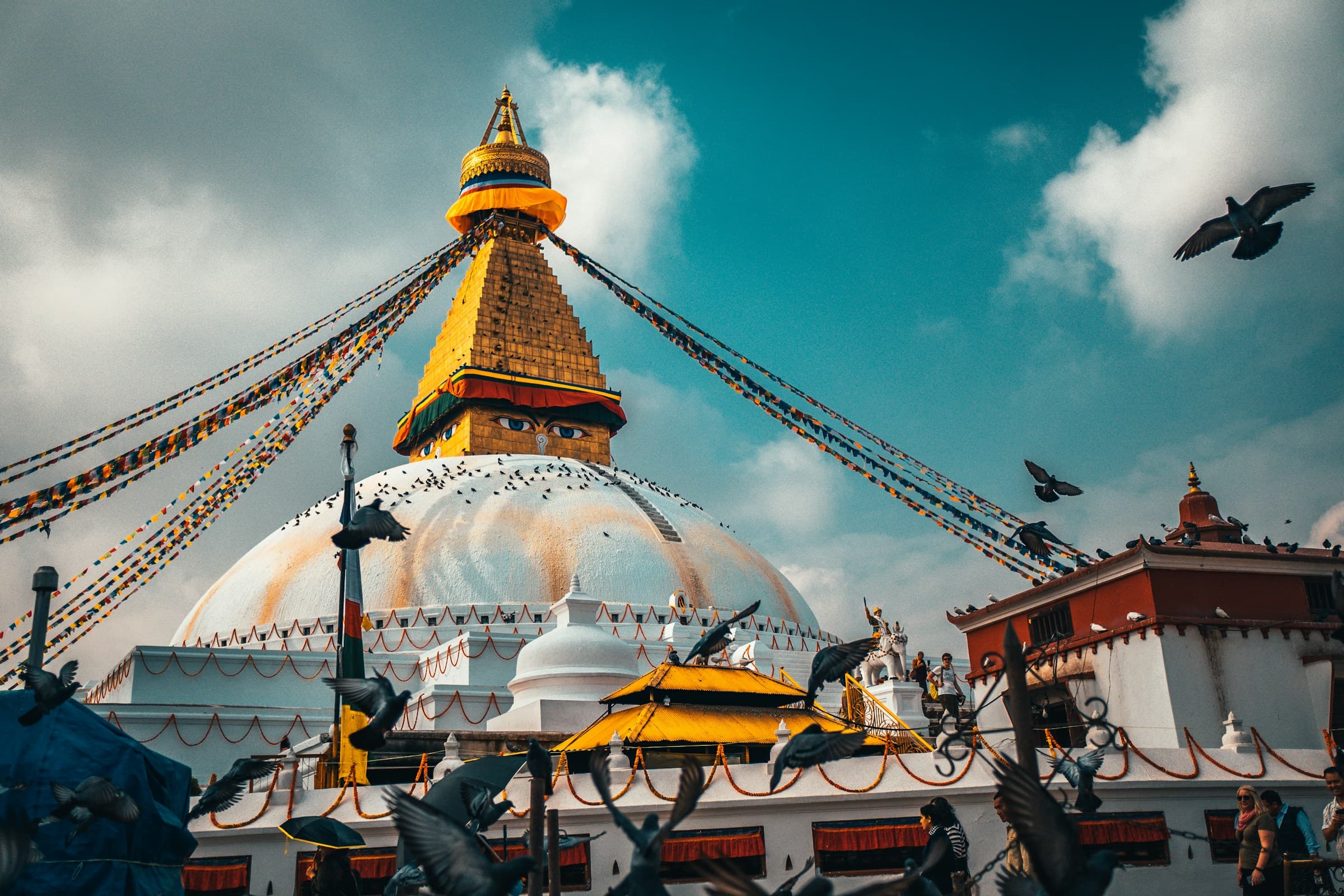 raimond-klavins-N6MiaknsNX8-unsplash
